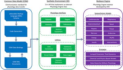 A Whole-Body Mathematical Model of Sepsis Progression and Treatment Designed in the BioGears Physiology Engine